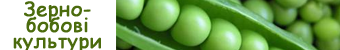 bobovi2