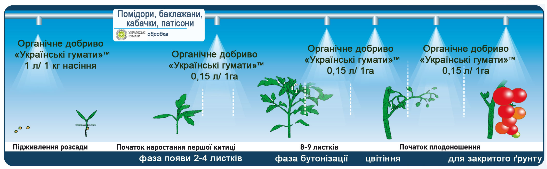 Застосування гумату калію ТМ Українські гумати при вирощуванні овочевих і баштанних культур 