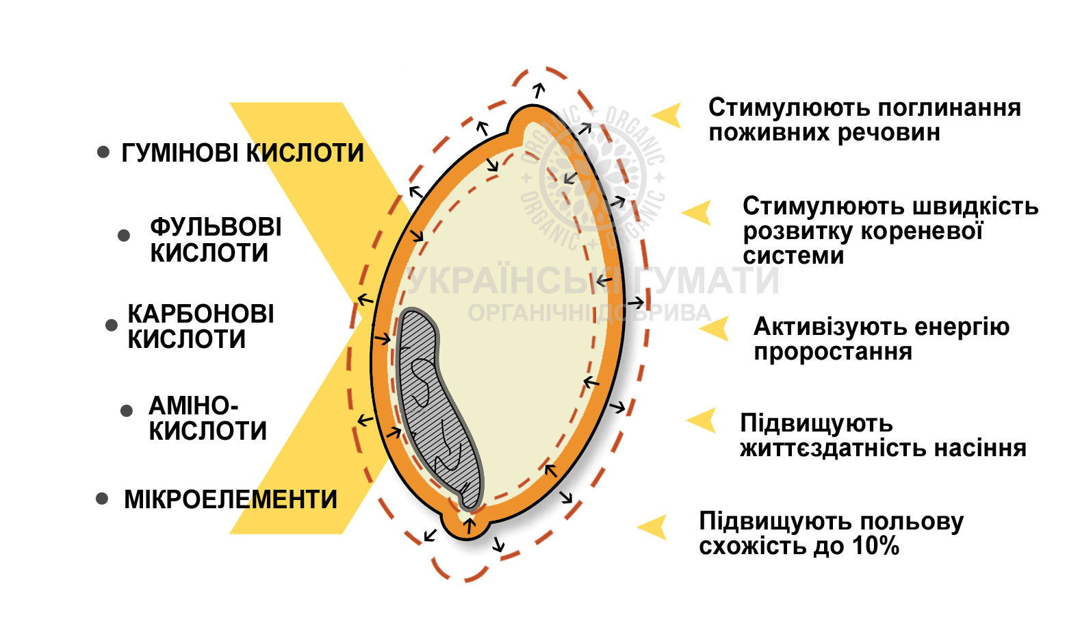 Українські гумати переваги обробка зерна