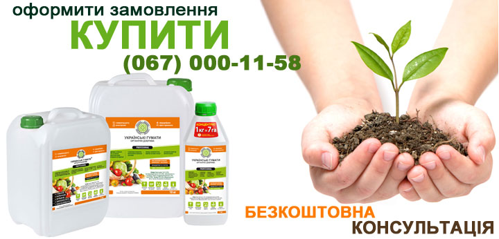 купити гумати зараз українські гумати добрива