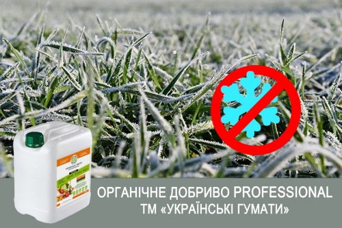 Допомога рослинам при заморозках
