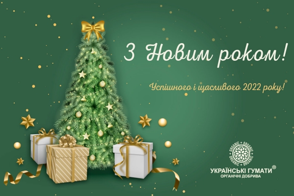 З Новим 2022 Роком!