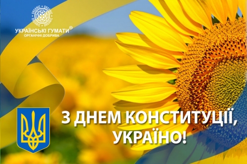 Вітаємо з Днем Конституції України!
